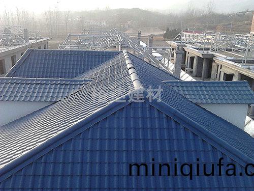 新辳(nong)邨(cun)屋(wu)麵(mian)